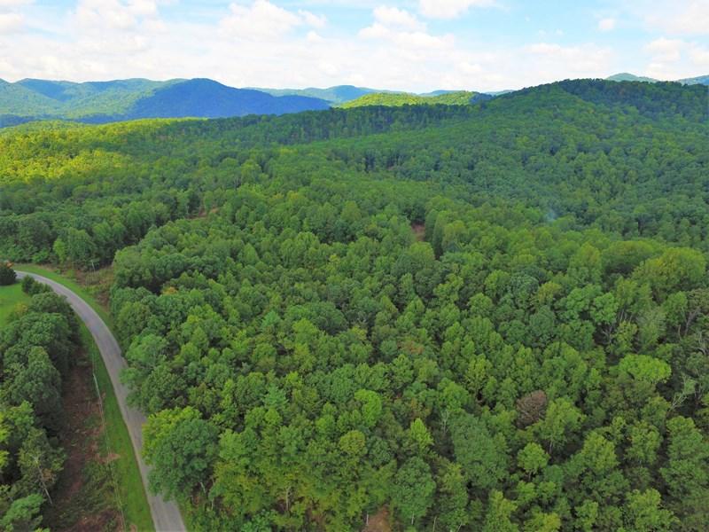 607 Dryhill Road Ferrum, VA 24088 - Photo 9 of 27 a view of a lush green hillside and houses