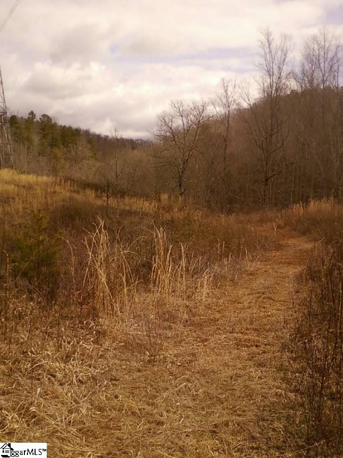 511 Newton Road Pickens, SC 29671 - Photo 3 of 9