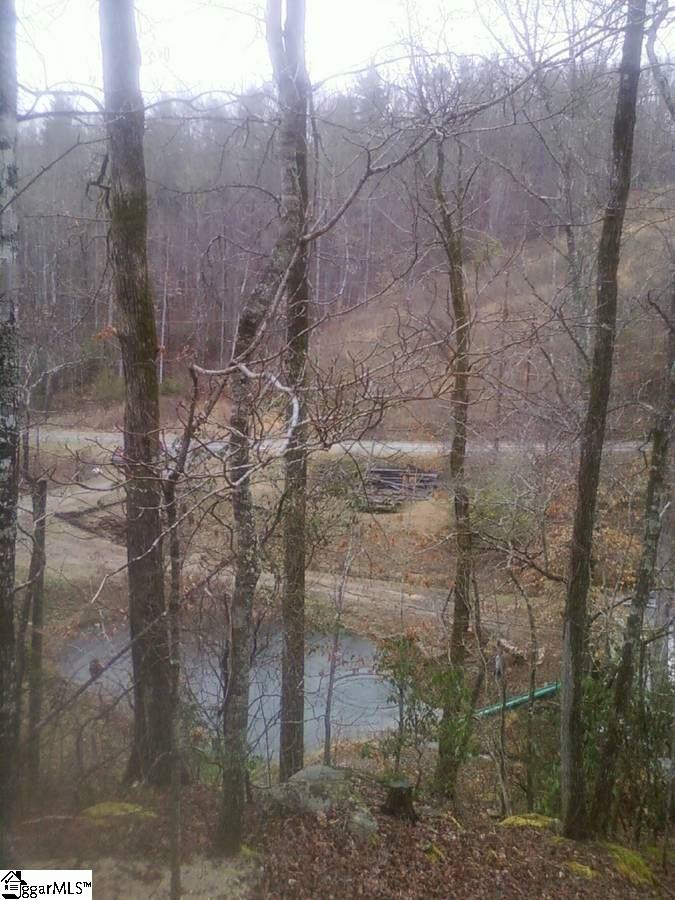 511 Newton Road Pickens, SC 29671 - Photo 6 of 9