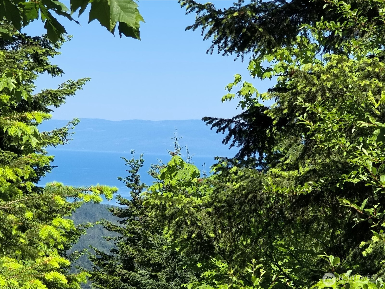 0 Hansen Road Port Angeles, WA 98363 - Photo 6 of 7