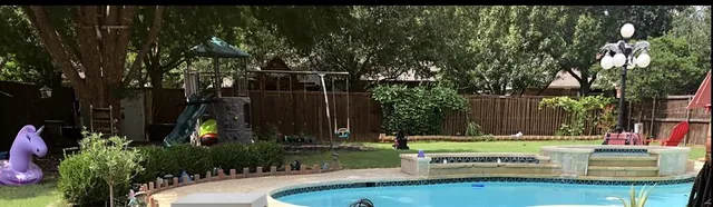 a view of a park with plants and trees