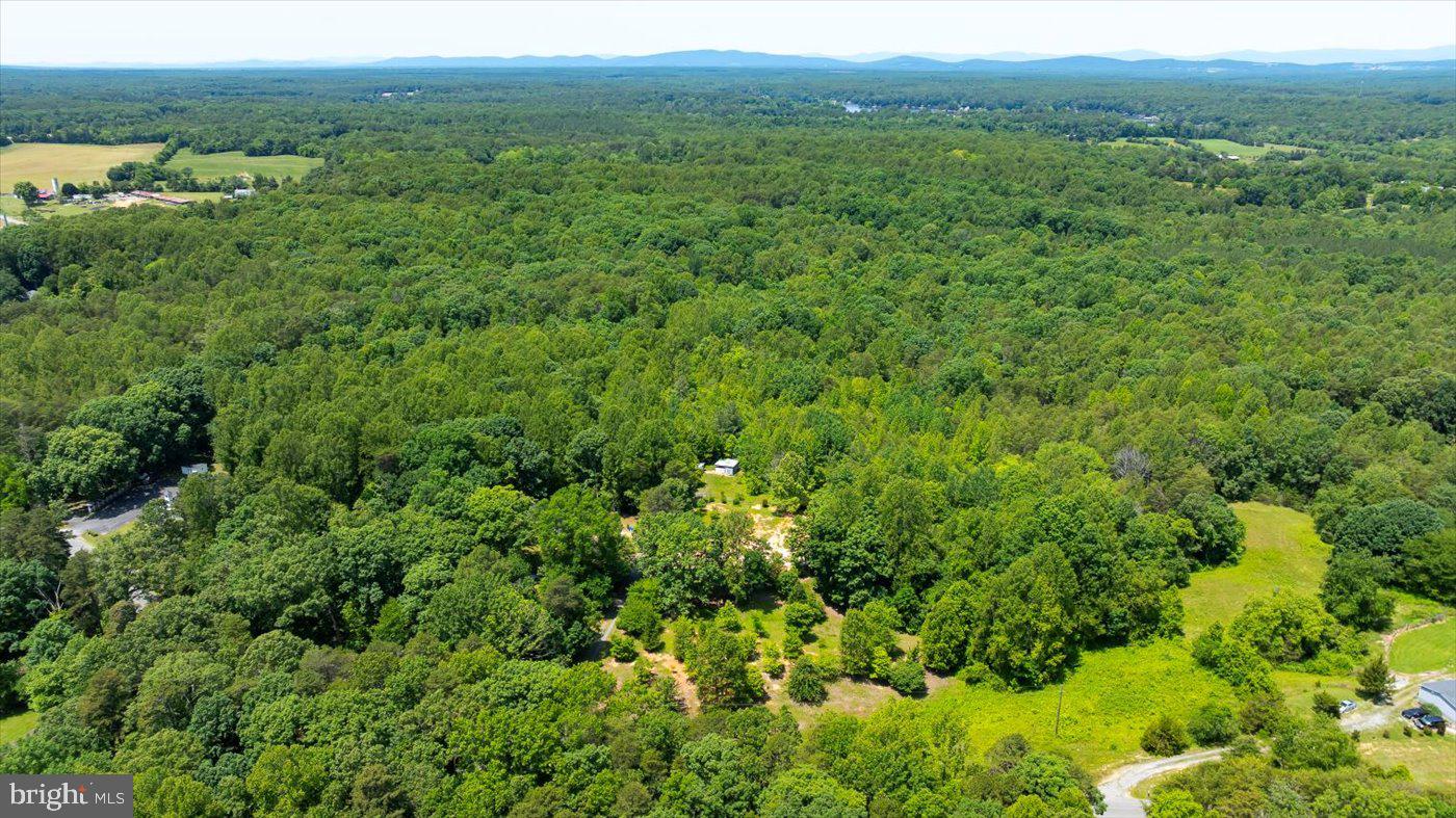 Peach Grove Road Louisa, VA 23093 - Photo 12 of 26