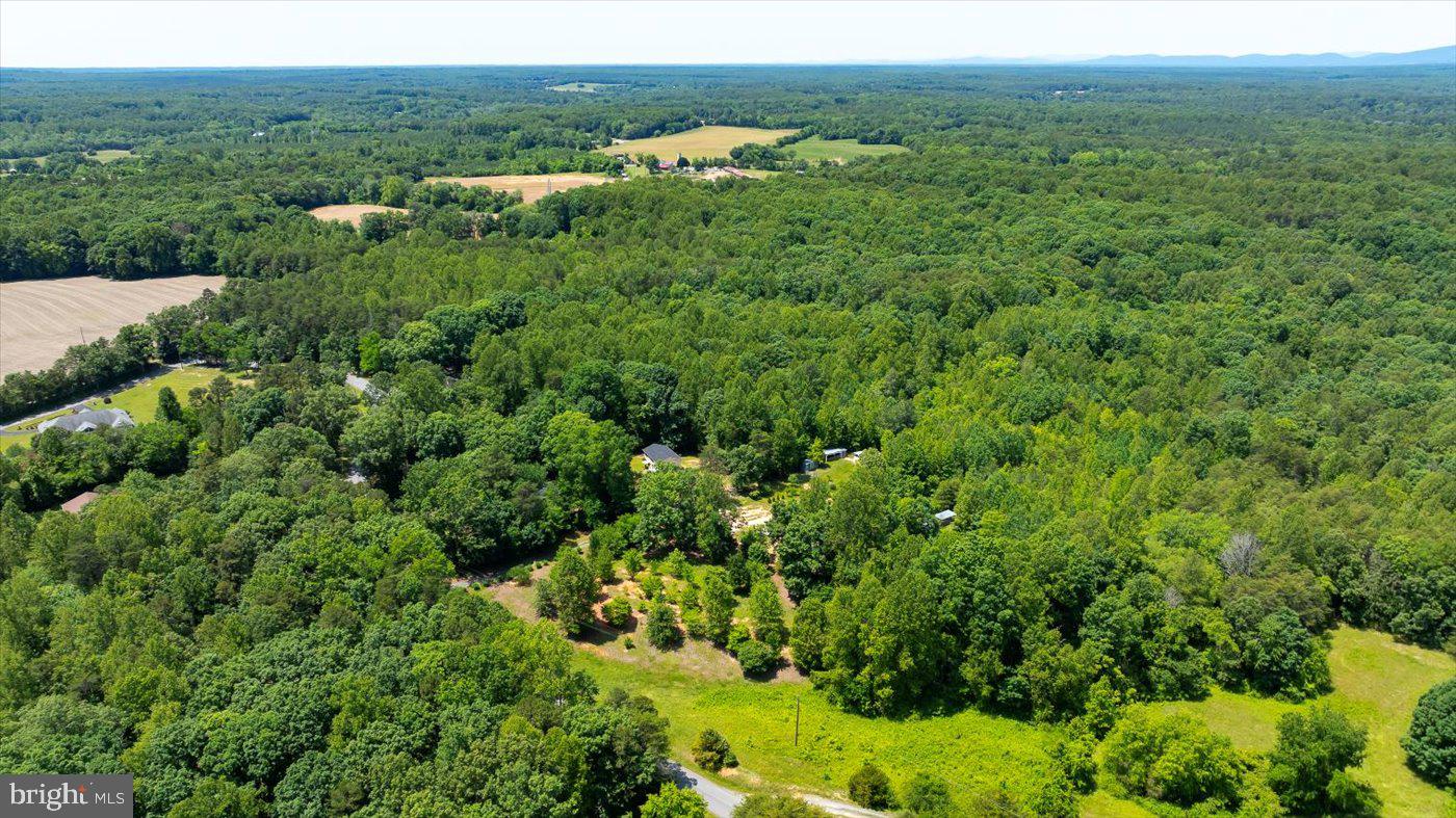 Peach Grove Road Louisa, VA 23093 - Photo 13 of 26