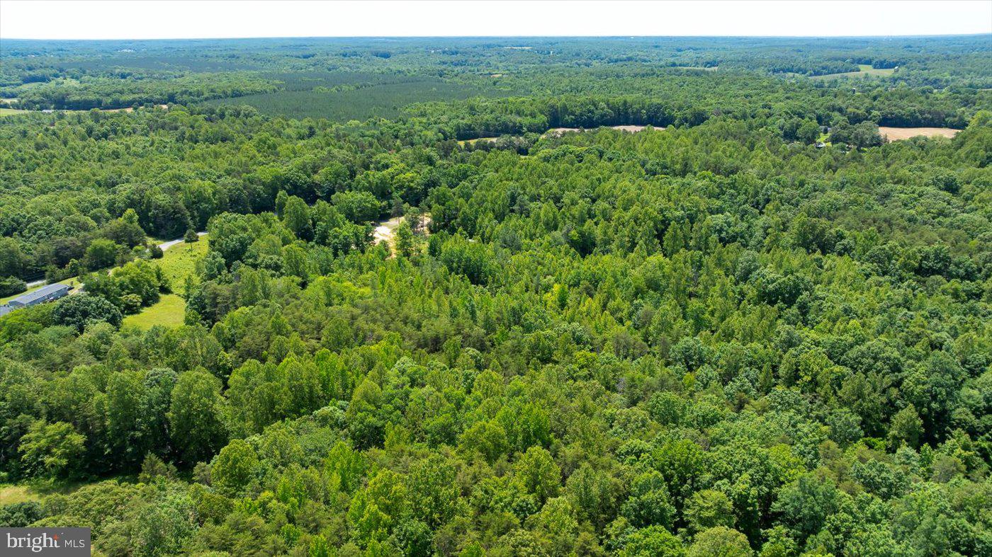 Peach Grove Road Louisa, VA 23093 - Photo 17 of 26