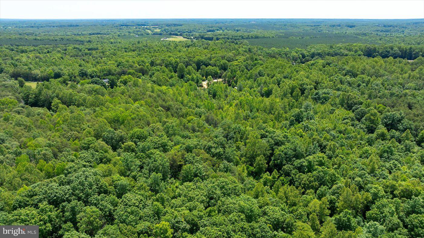 Peach Grove Road Louisa, VA 23093 - Photo 18 of 26