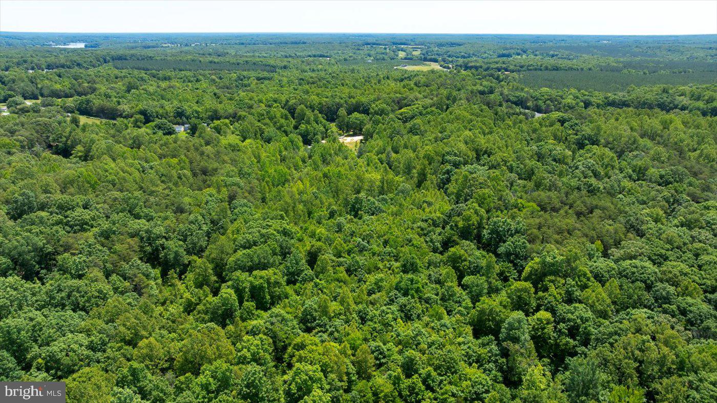 Peach Grove Road Louisa, VA 23093 - Photo 19 of 26