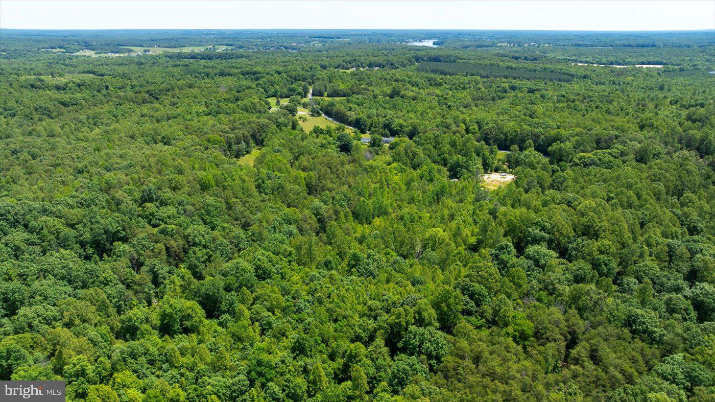 Peach Grove Road Louisa, VA 23093 - Photo 20 of 26