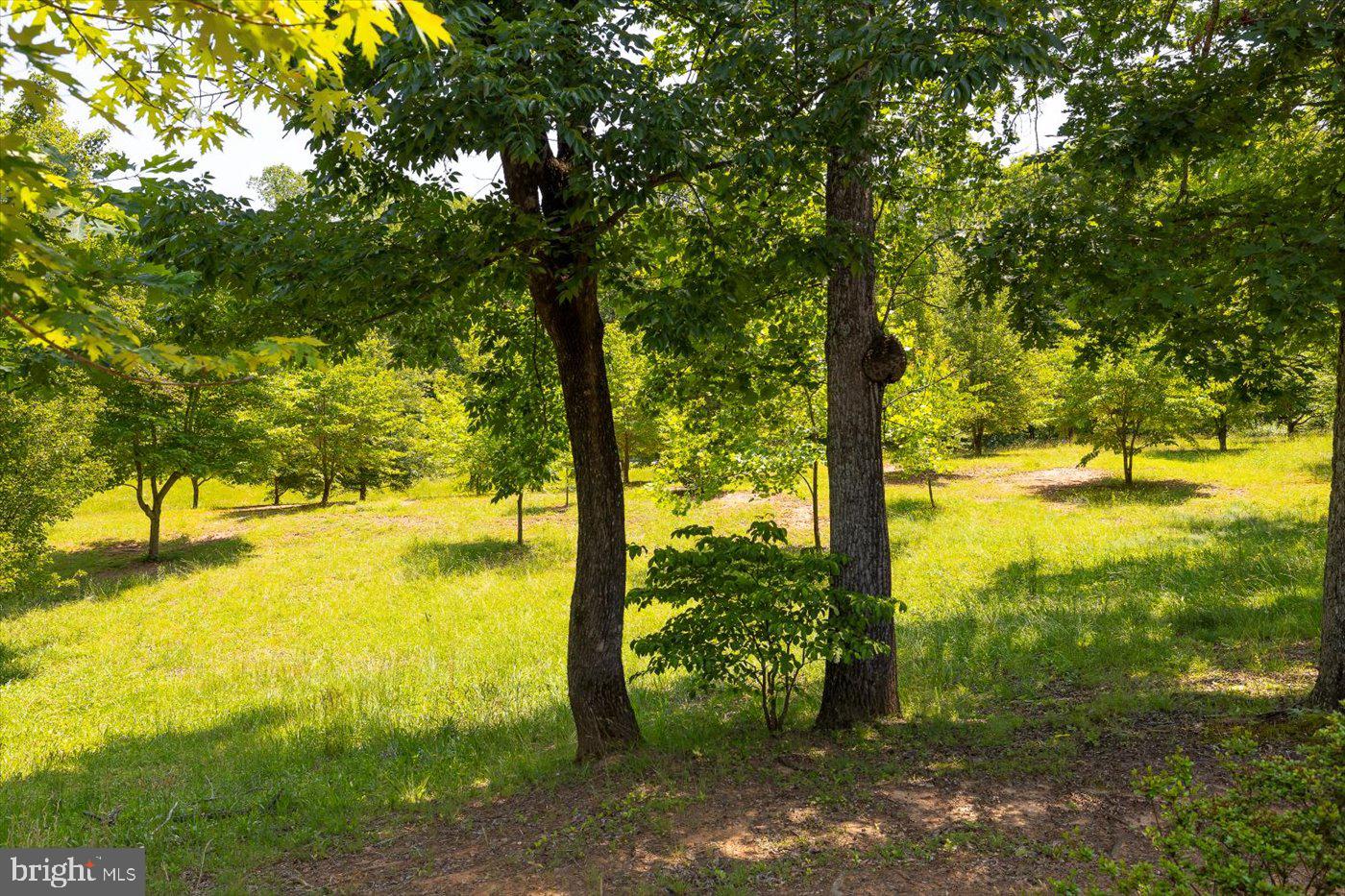 Peach Grove Road Louisa, VA 23093 - Photo 2 of 26