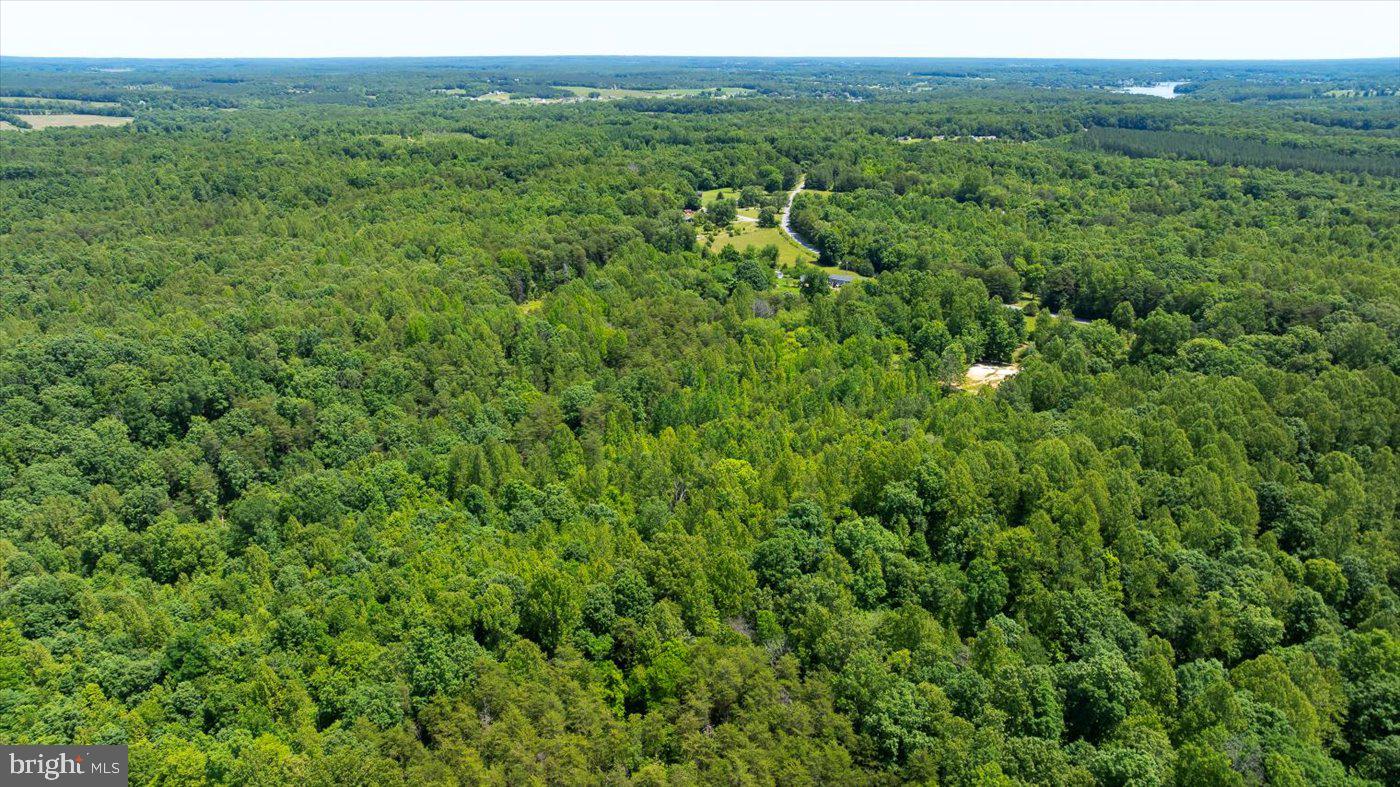 Peach Grove Road Louisa, VA 23093 - Photo 21 of 26