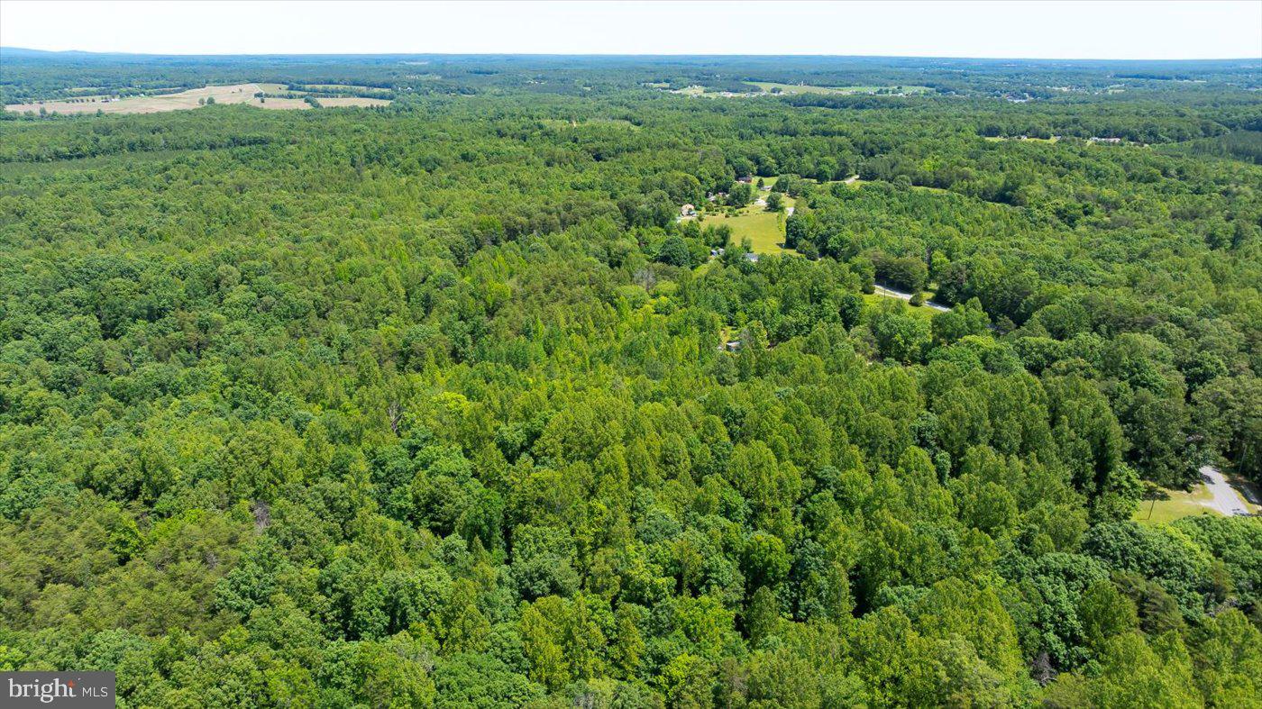 Peach Grove Road Louisa, VA 23093 - Photo 22 of 26