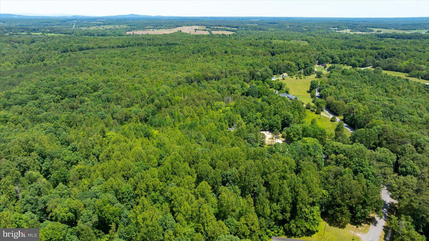 Peach Grove Road Louisa, VA 23093 - Photo 23 of 26