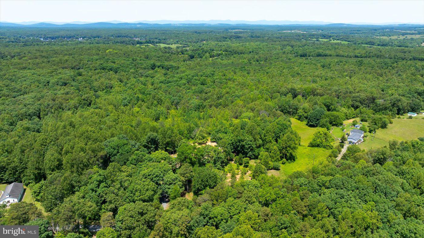 Peach Grove Road Louisa, VA 23093 - Photo 26 of 26