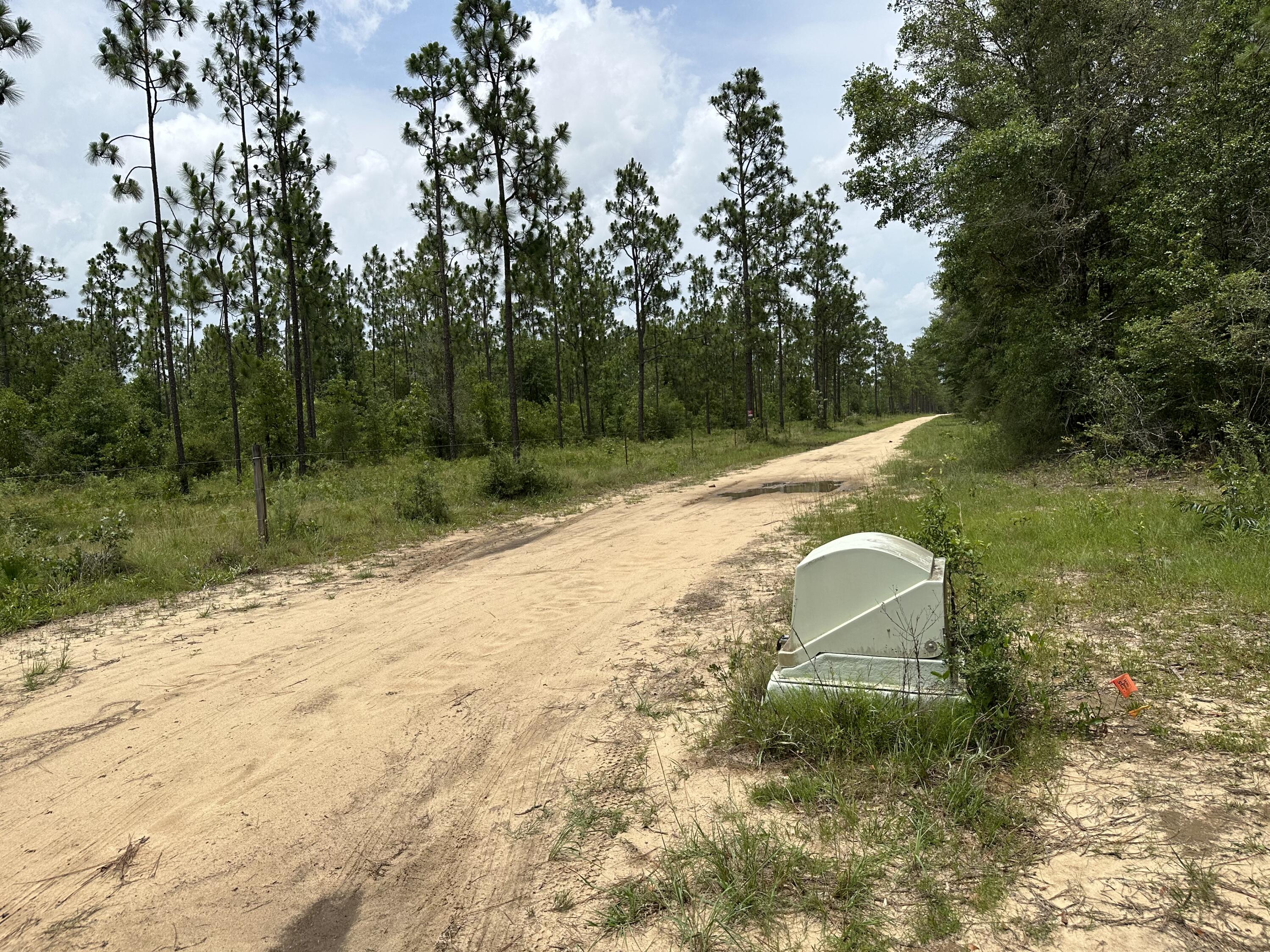 Parcel E Parcel E Wildlife Road Holt, FL 32564 - Photo 3 of 6 IMG_1217