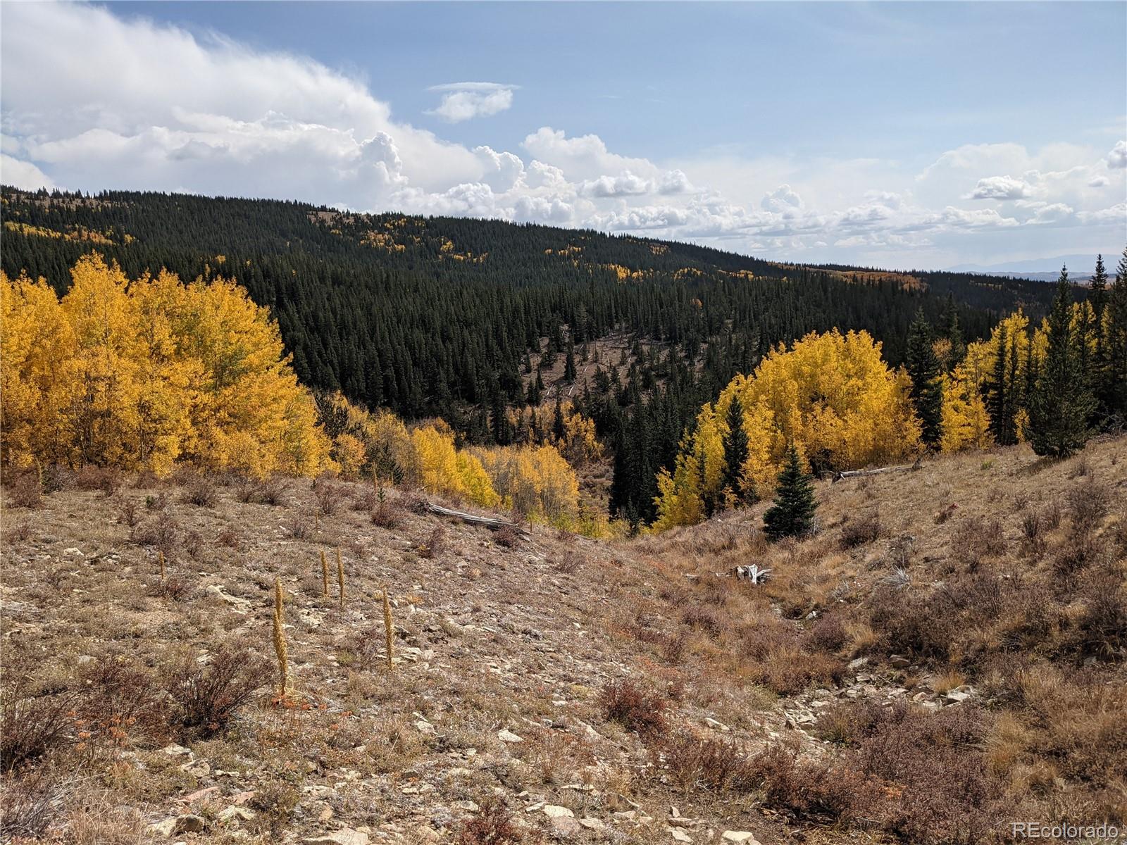0 Snow Cap Peaks Road Fairplay, CO 80440 - Photo 13 of 20