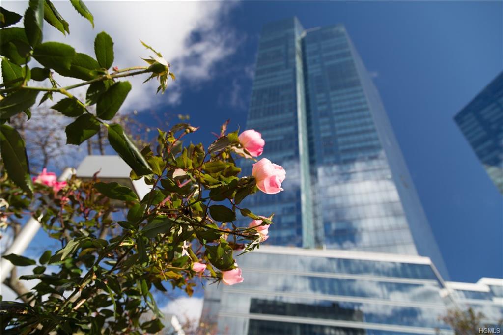 5 Renaissance Square, Unit PH6G White Plains, NY 10601 - Photo 1 of 1