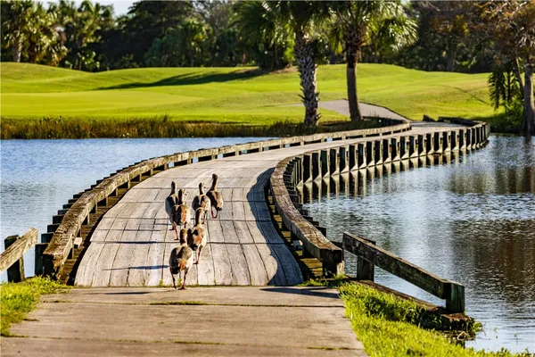 a view of a lake with houses in front of it
