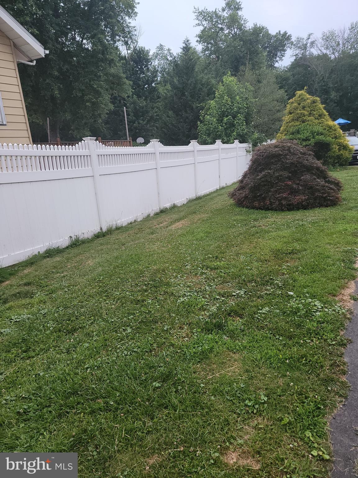 1967 Pennington Road Trenton, NJ 08618 - Photo 4 of 20 Side Left Yard