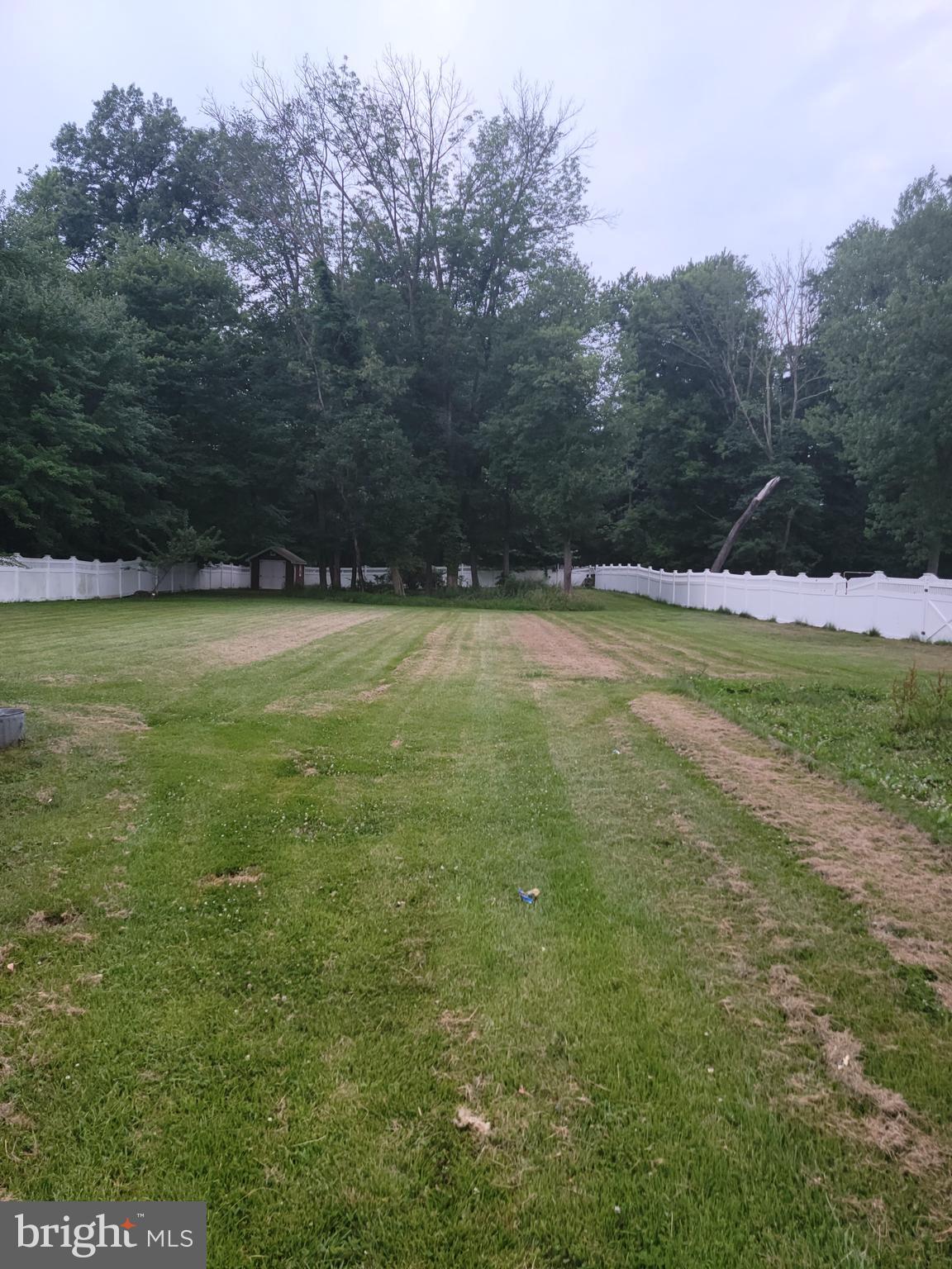 1967 Pennington Road Trenton, NJ 08618 - Photo 5 of 20 Rear View Yard