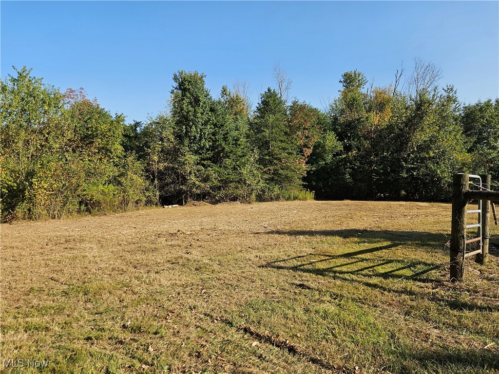 6155 Beach Road Wadsworth, OH 44281 - Photo 46 of 49 View of rear of property, wooded with trails