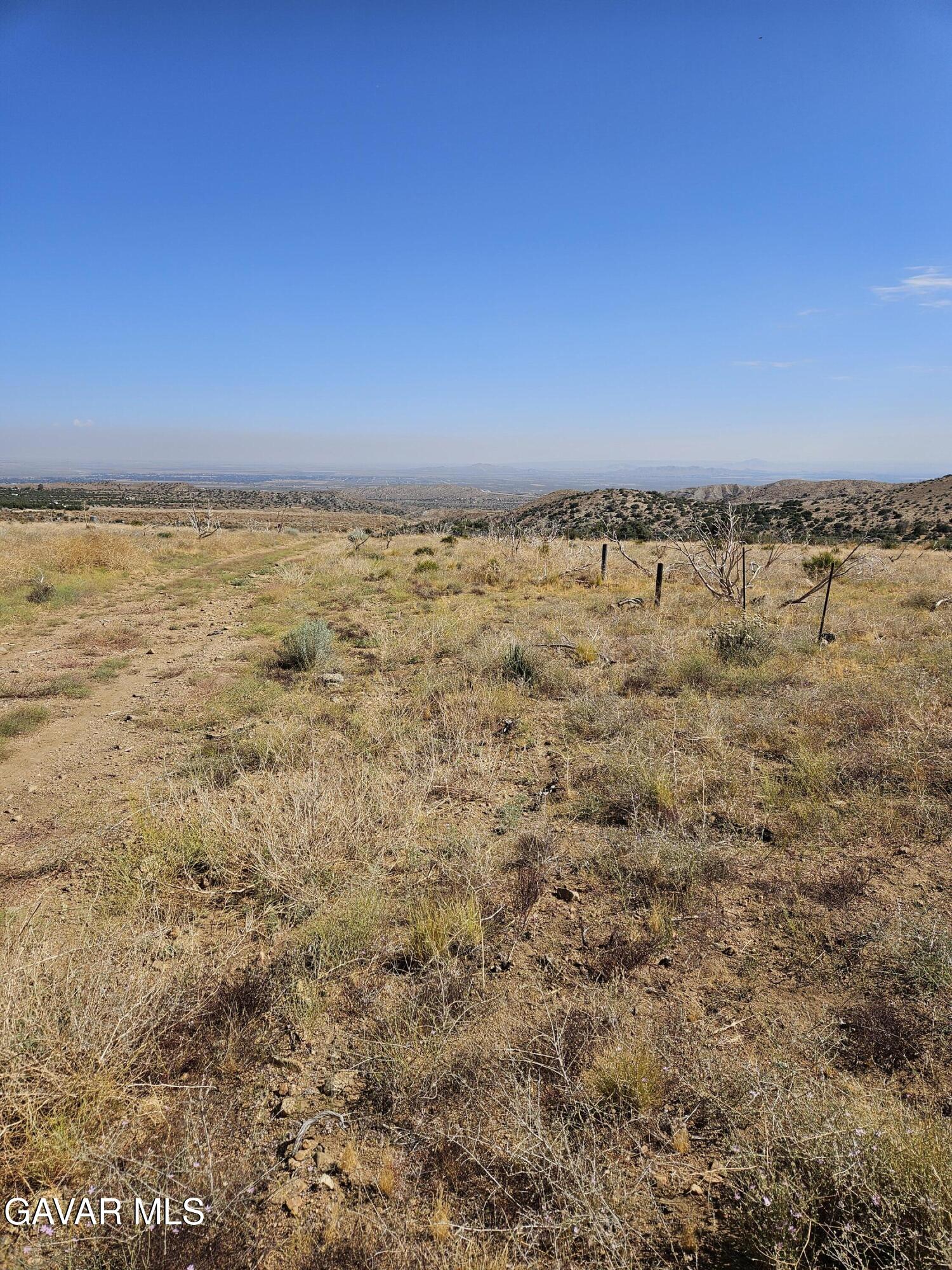 116 Vac Tumbleweed Road Pearblossom, CA 93553 - Photo 2 of 8 20240715_093652