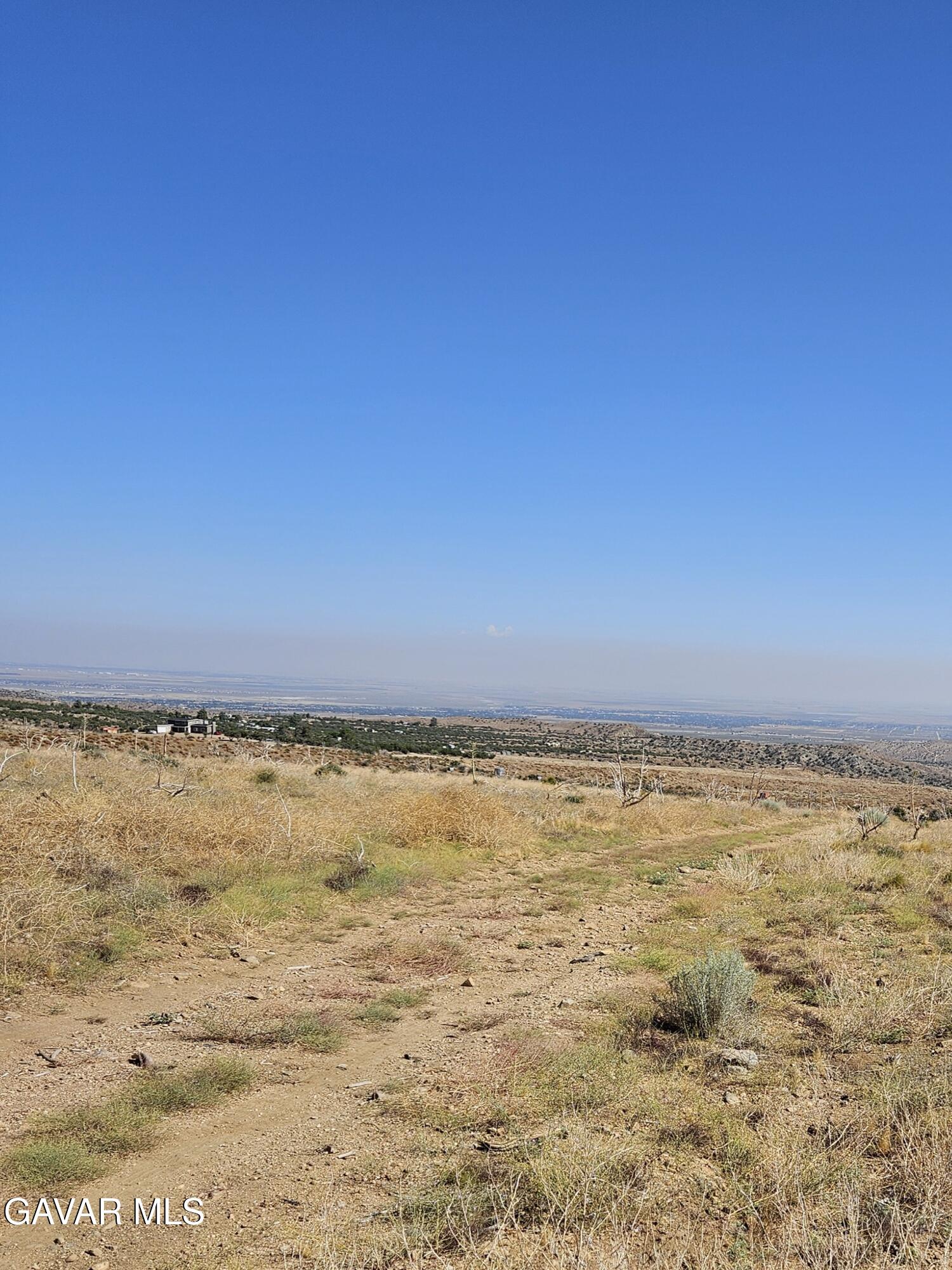 116 Vac Tumbleweed Road Pearblossom, CA 93553 - Photo 3 of 8 20240715_093702