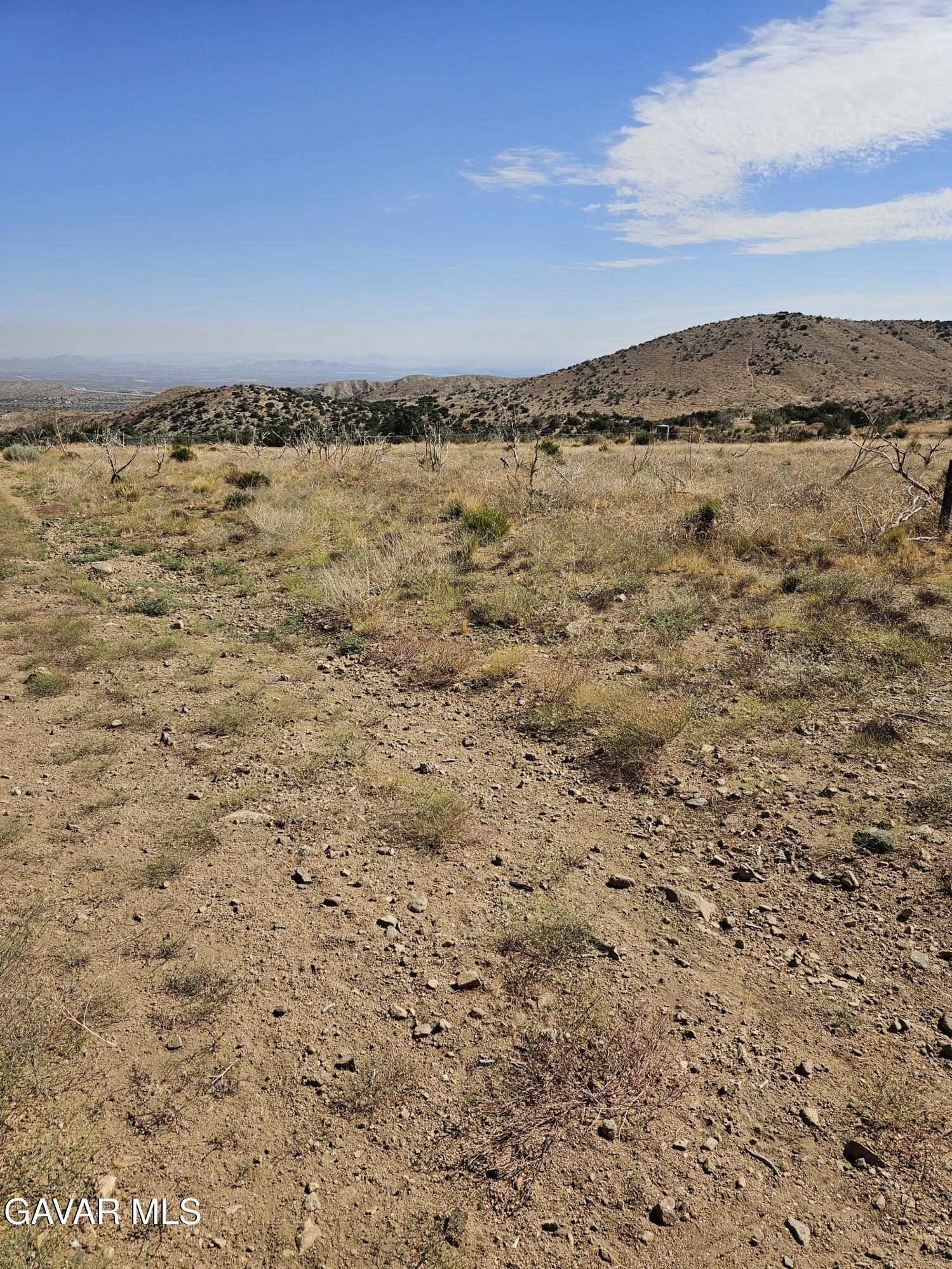 116 Vac Tumbleweed Road Pearblossom, CA 93553 - Photo 5 of 8 20240715_093744