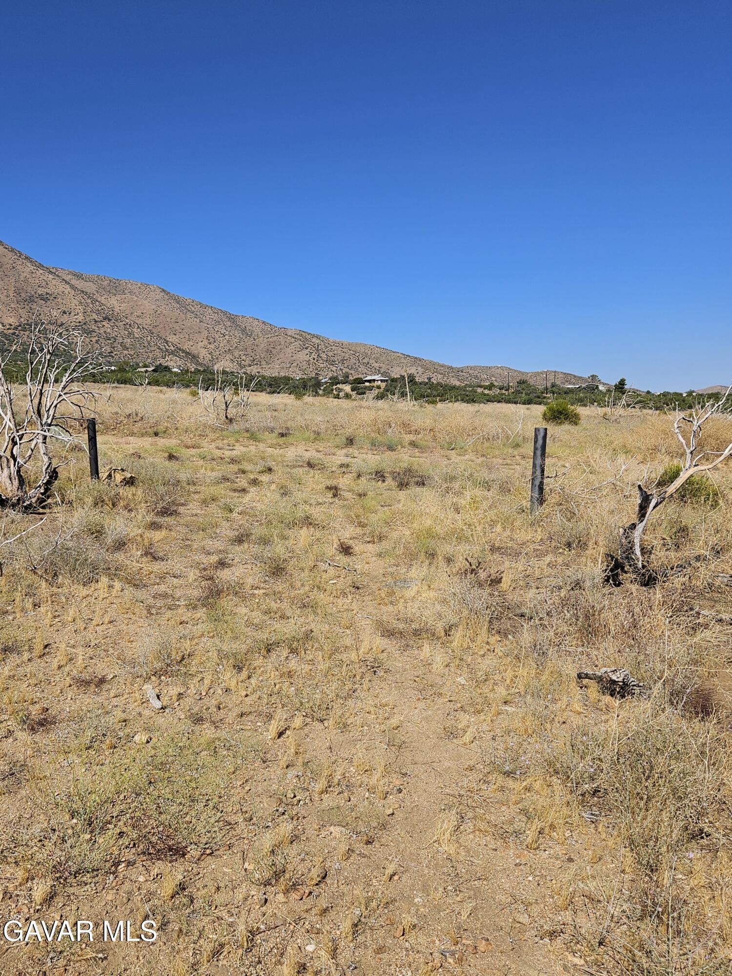 116 Vac Tumbleweed Road Pearblossom, CA 93553 - Photo 8 of 8 20240715_093929