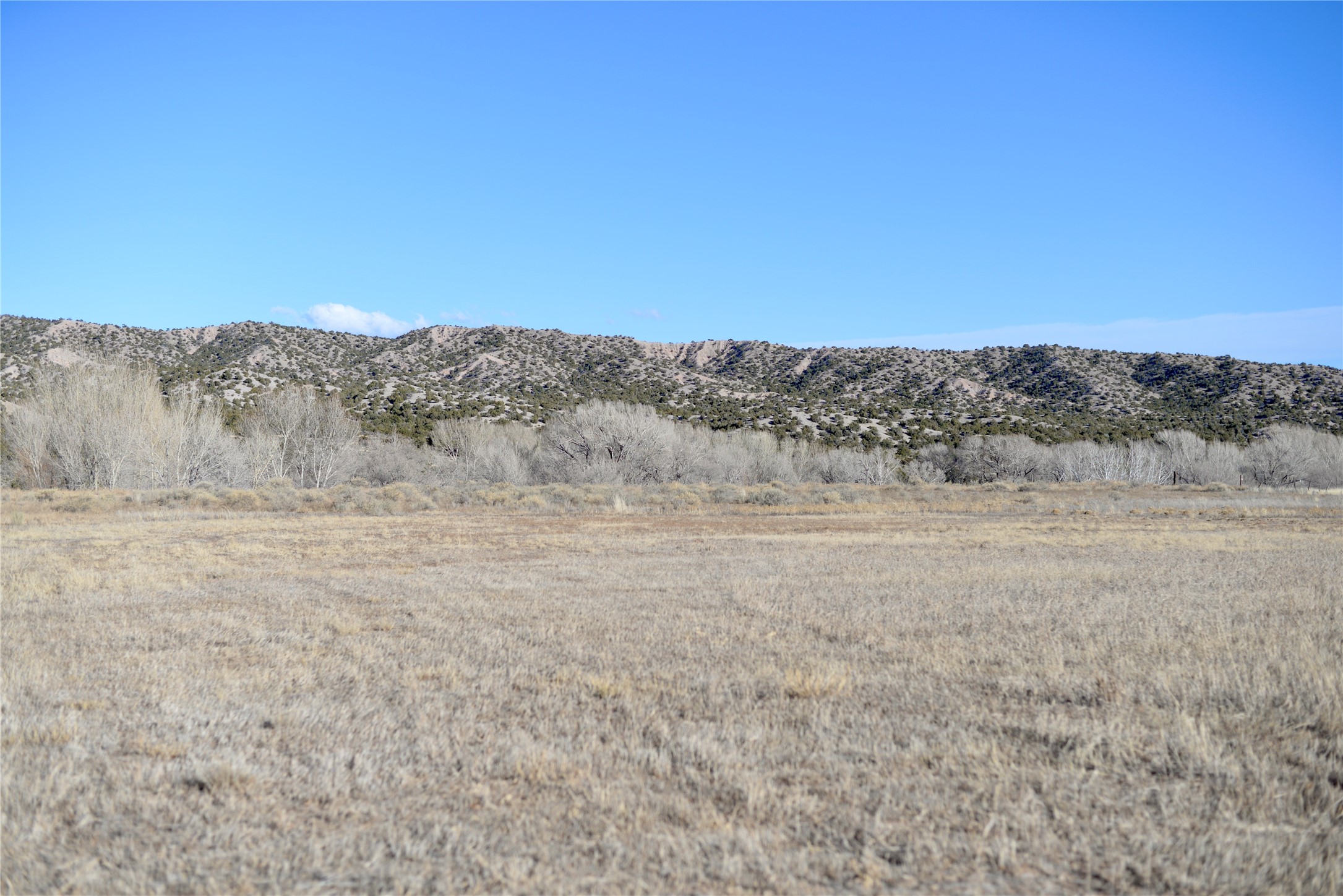 Looking East over the property.