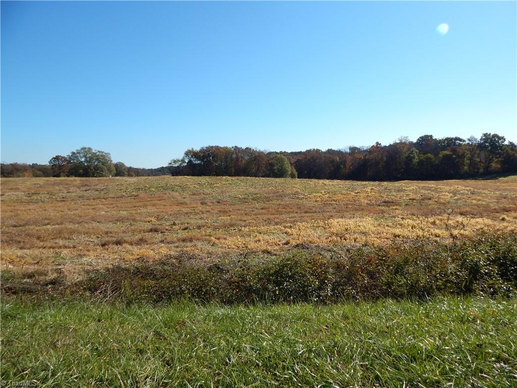 0 Carriker Road Albemarle, NC 28001 - Photo 5 of 10
