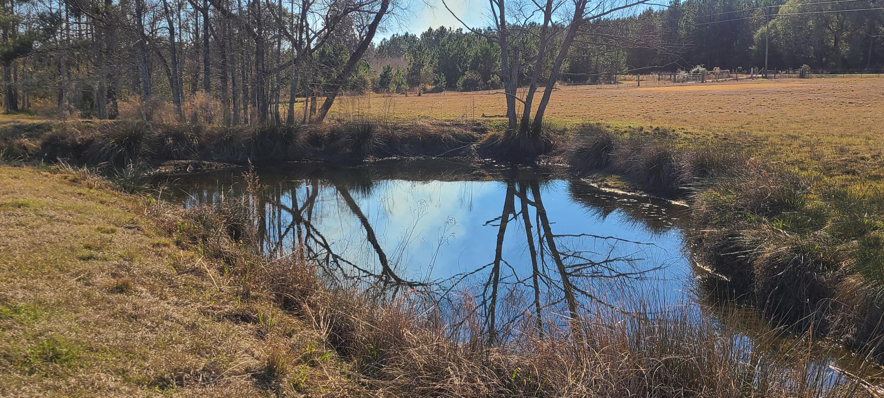 576 Perkins Road Laurel Hill, FL 32567 - Photo 54 of 70 Small pond