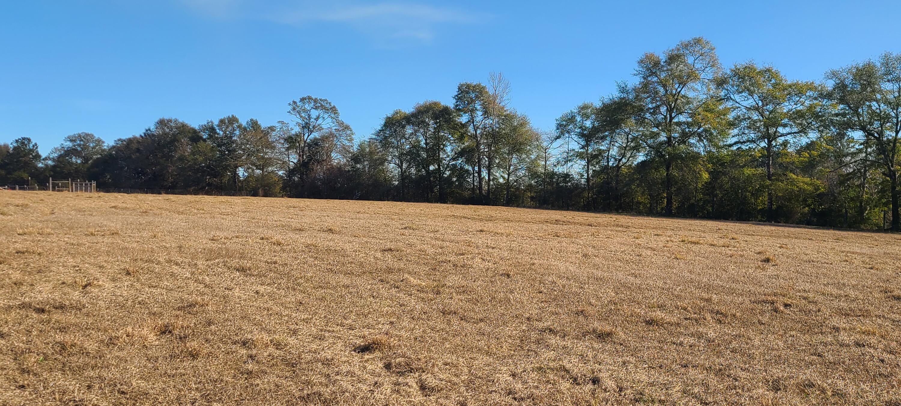 576 Perkins Road Laurel Hill, FL 32567 - Photo 58 of 70 20220118_134909