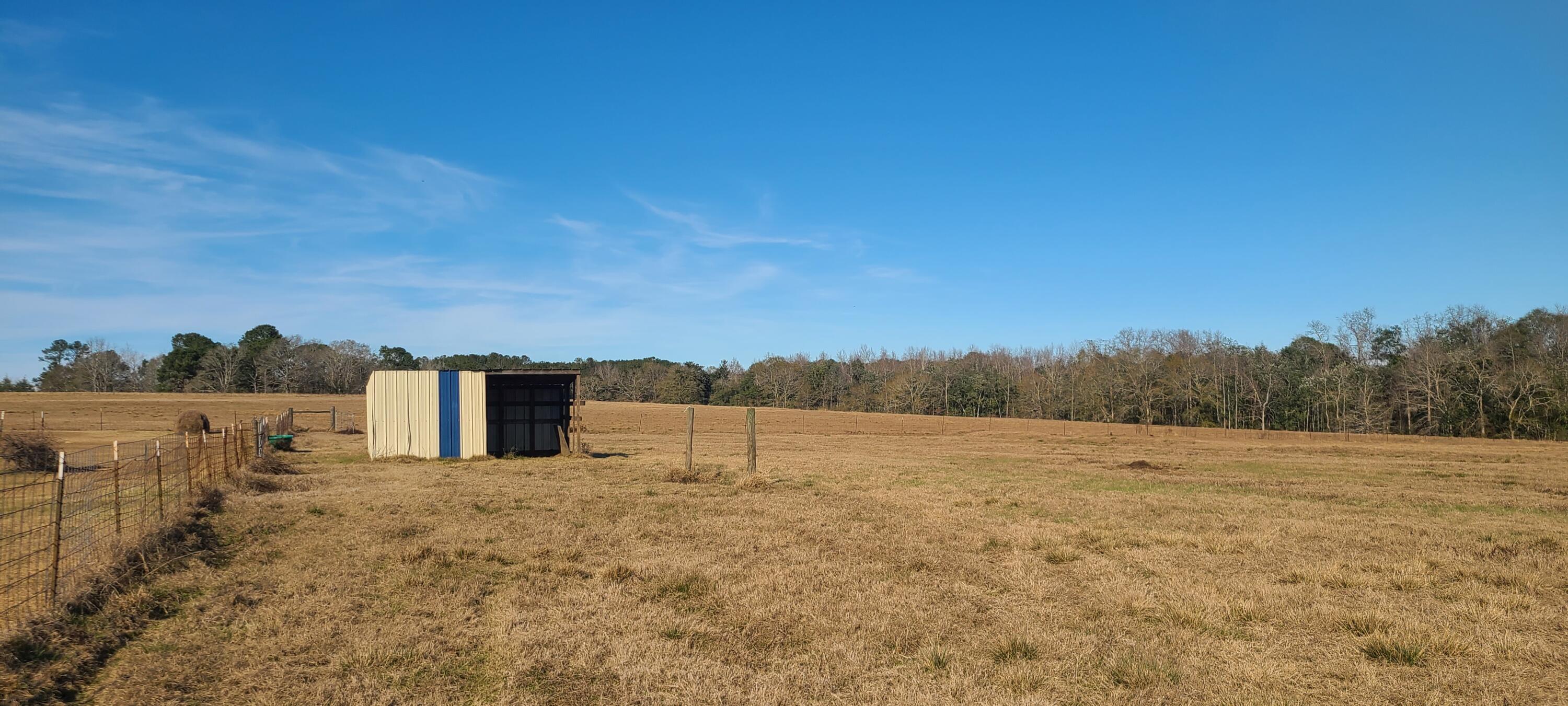 576 Perkins Road Laurel Hill, FL 32567 - Photo 60 of 70 20220118_135244