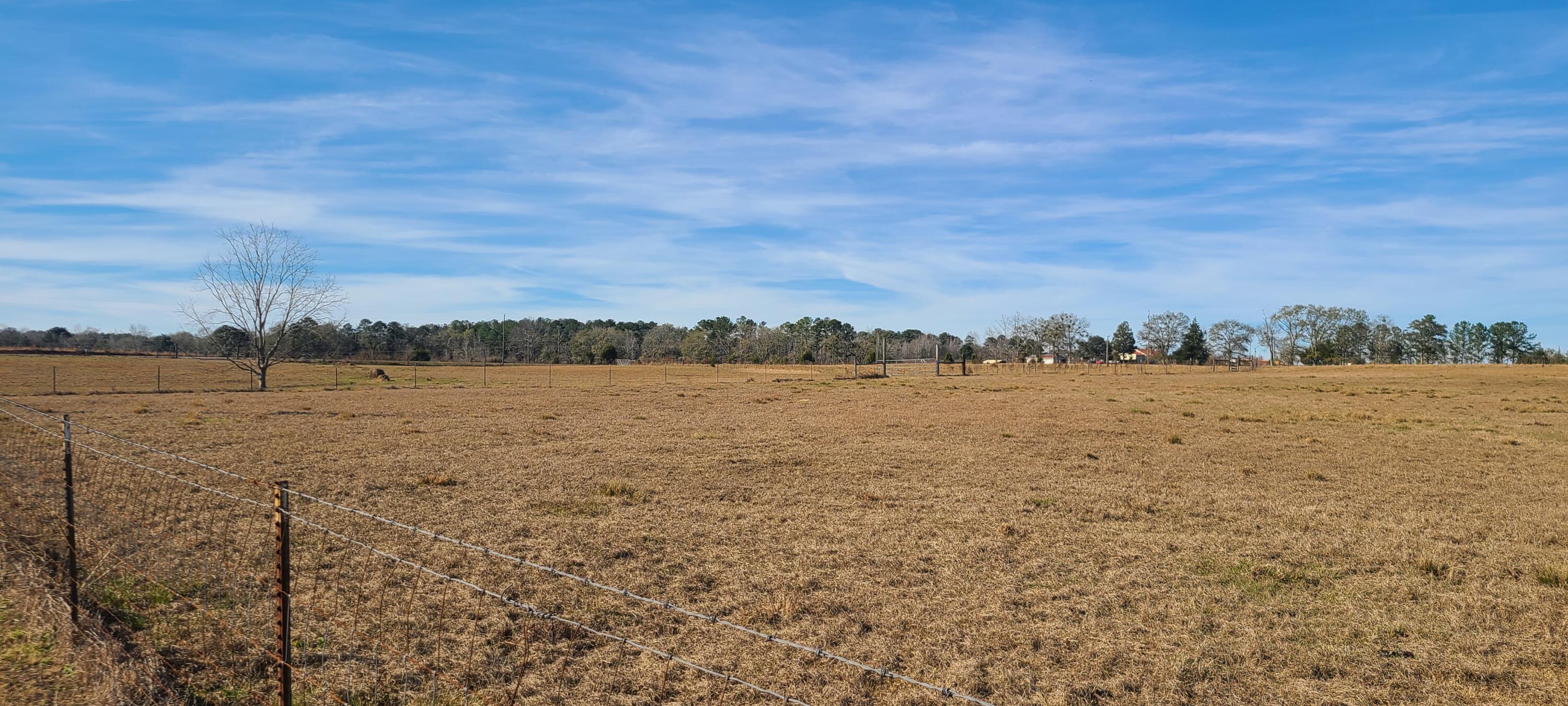 576 Perkins Road Laurel Hill, FL 32567 - Photo 66 of 70 north west pasture