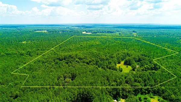 a view of a yard with an ocean