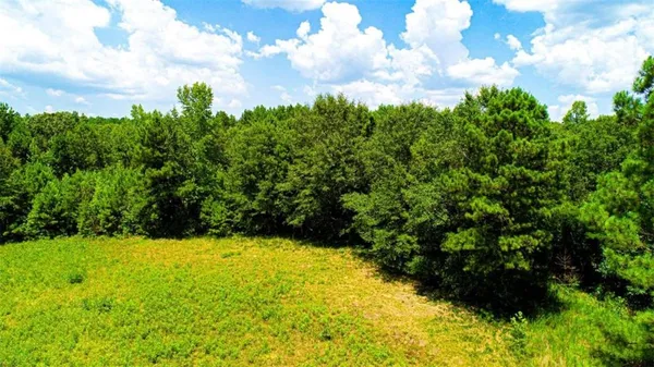a view of backyard with garden