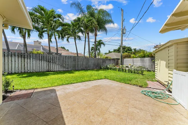 a view of a park with a large trees