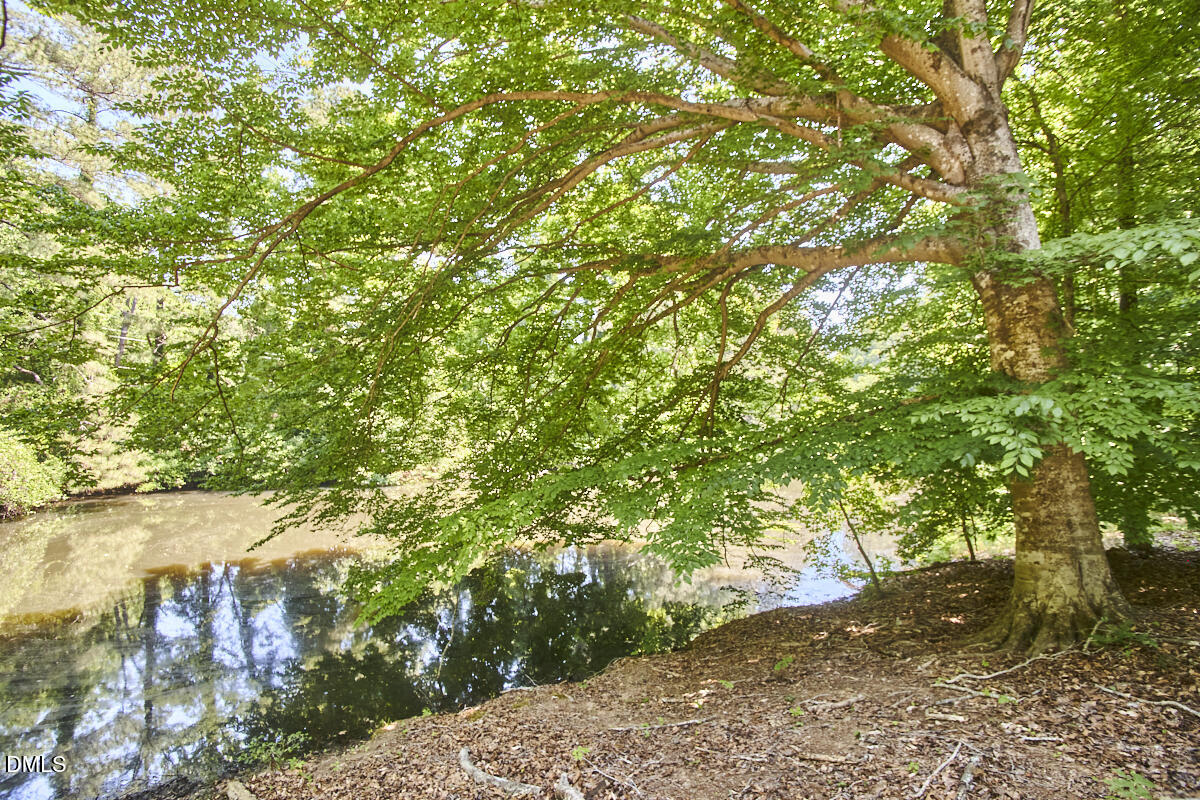 4204 Kerley Road Durham, NC 27705 - Photo 19 of 34 a backyard of a house with a tree