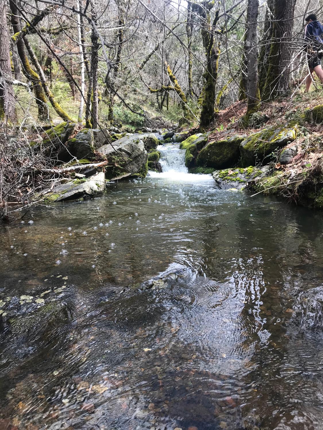 Enjoy the seasonal creek!