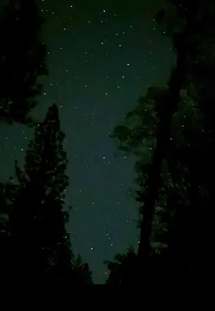 $174,000 | 18488 Ponderosa Annex Road, Sutter Creek, CA 95685