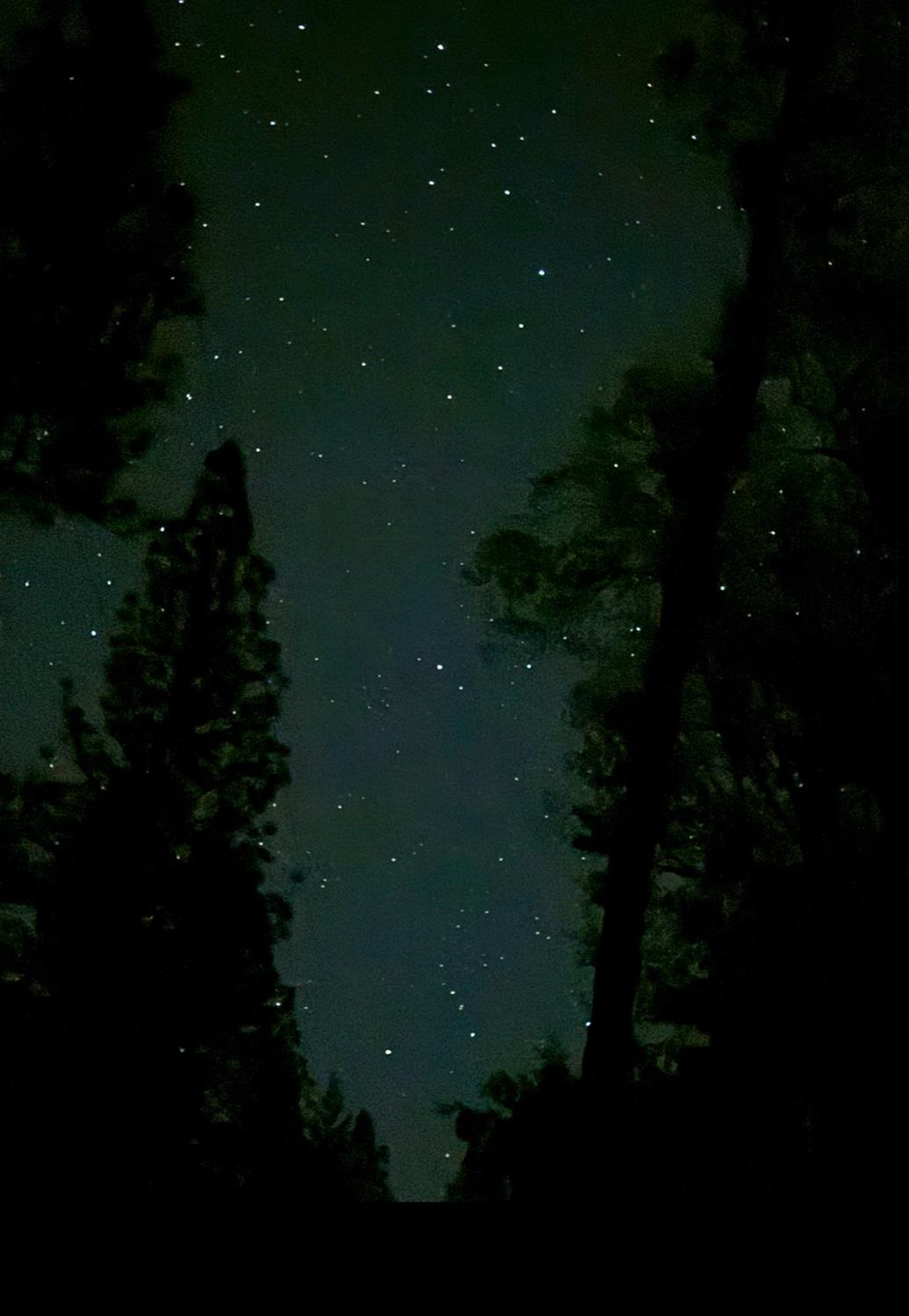 18488 Ponderosa Annex Road Sutter Creek, CA 95685 - Photo 2 of 6 Nighttime is magical!