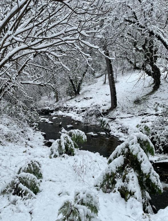 18488 Ponderosa Annex Road Sutter Creek, CA 95685 - Photo 4 of 6 Dusting of snow is so beautiful along the creek!