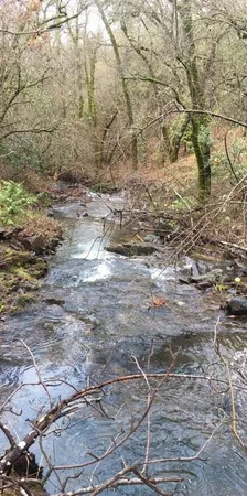 $174,000 | 18488 Ponderosa Annex Road, Sutter Creek, CA 95685