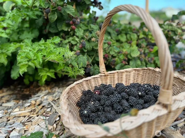 $995,950 | 161 Sims Lane, Sequim, WA 98382