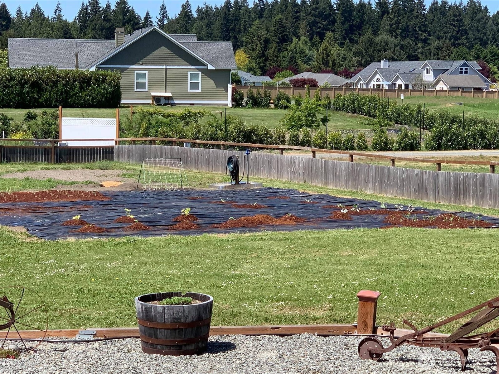 161 Sims Lane Sequim, WA 98382 - Photo 8 of 40