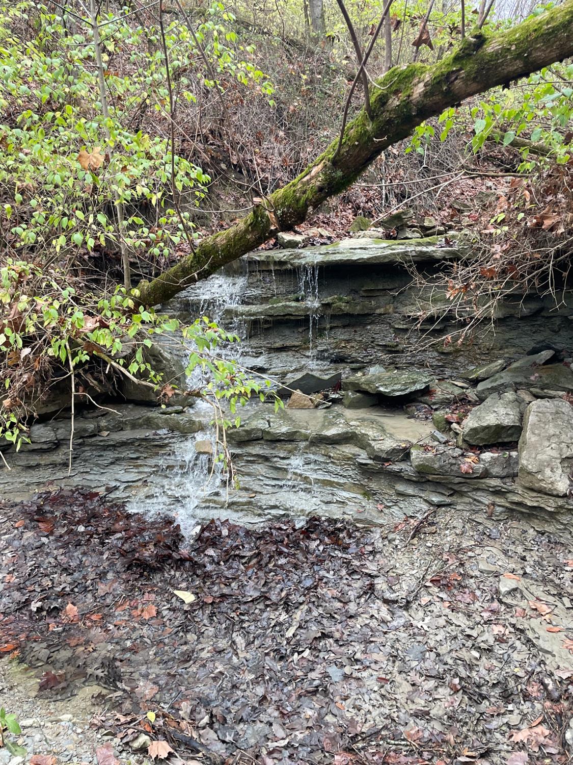 18103 Us Highway Florence, IN 47020 - Photo 2 of 9