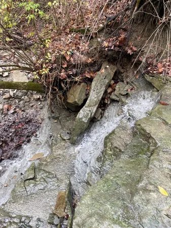 $49,900 | 18103 Us Highway, Florence, IN 47020