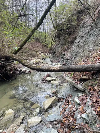 $49,900 | 18103 Us Highway, Florence, IN 47020