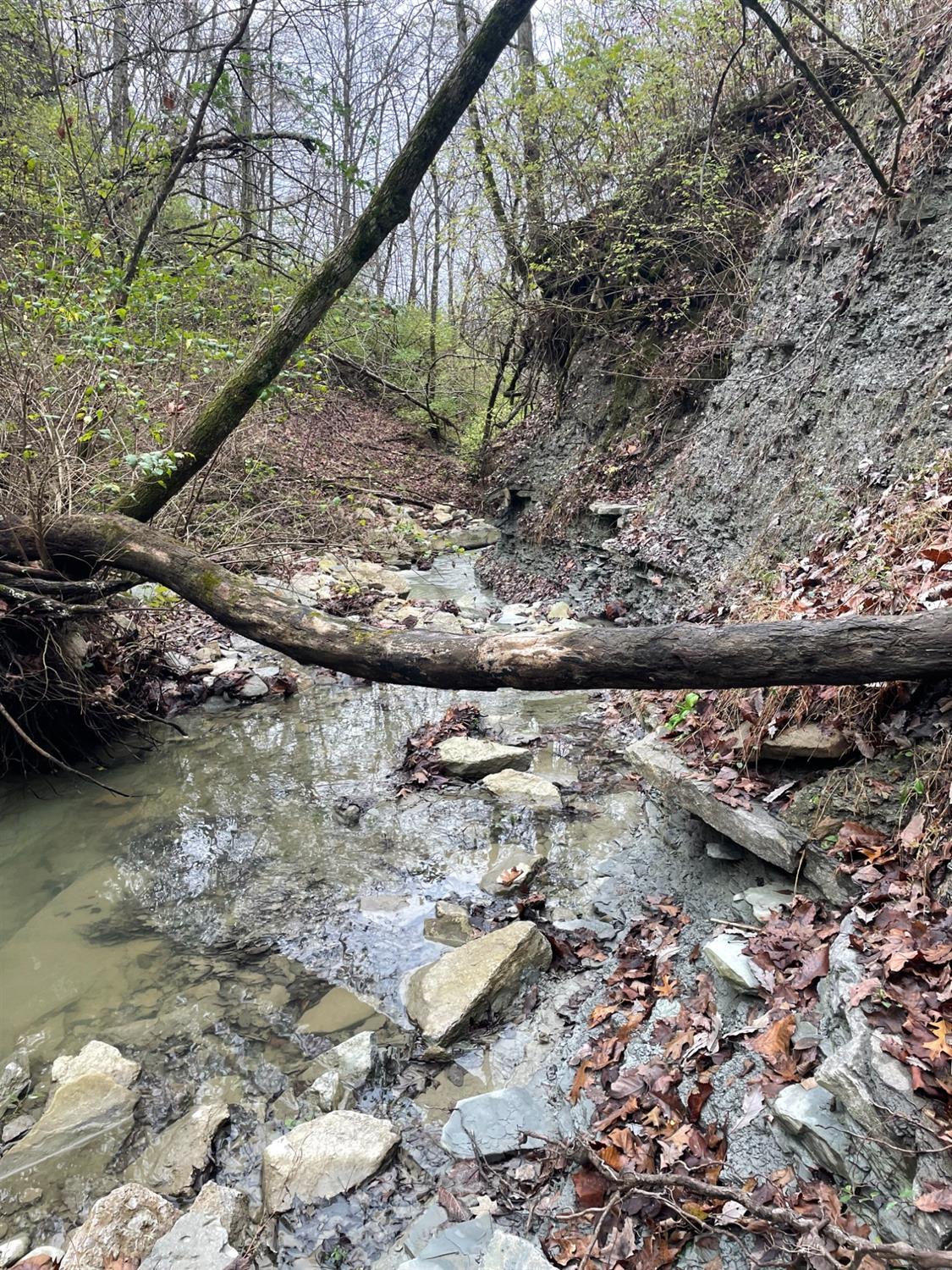 18103 Us Highway Florence, IN 47020 - Photo 4 of 9