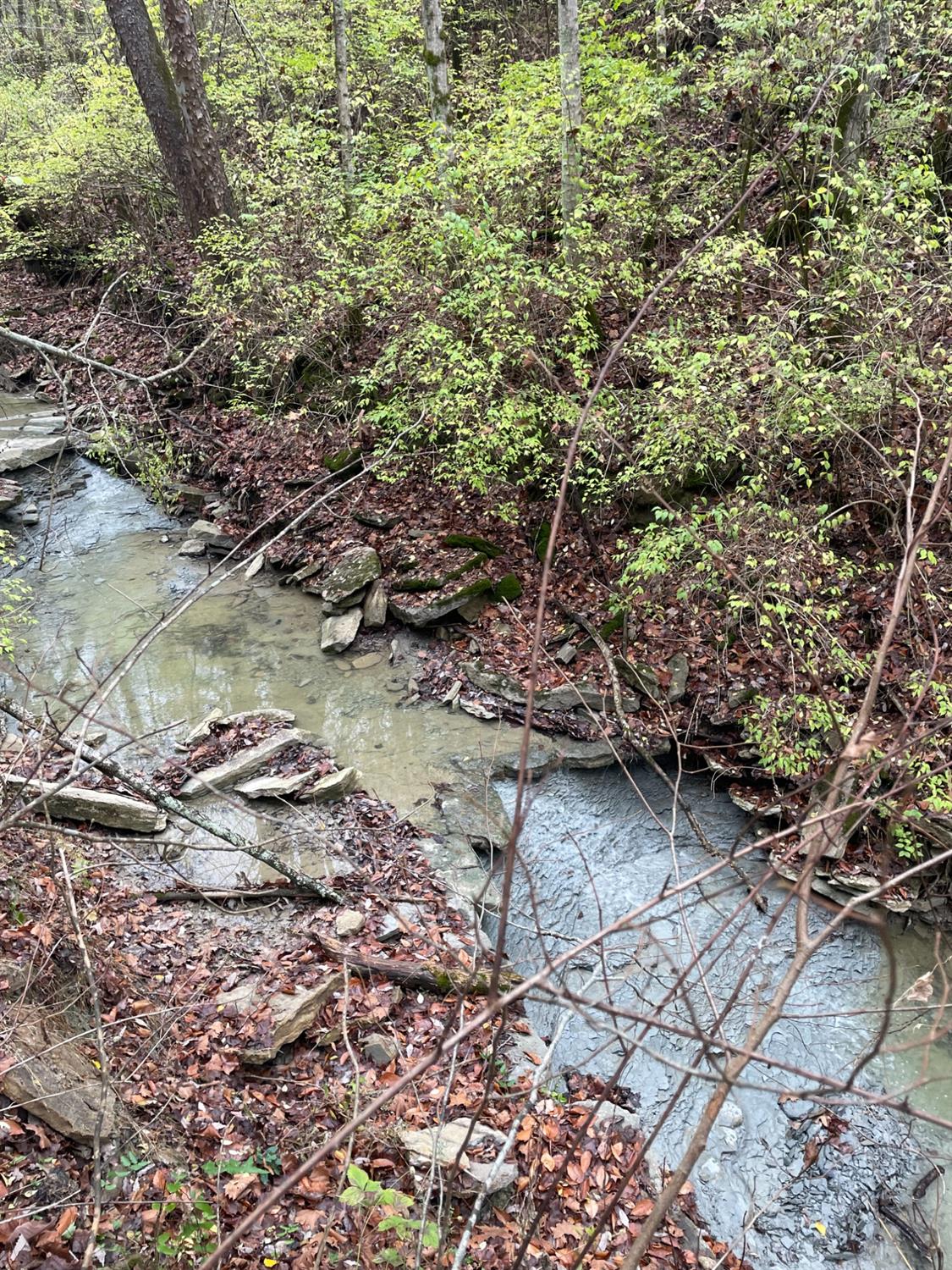 18103 Us Highway Florence, IN 47020 - Photo 6 of 9