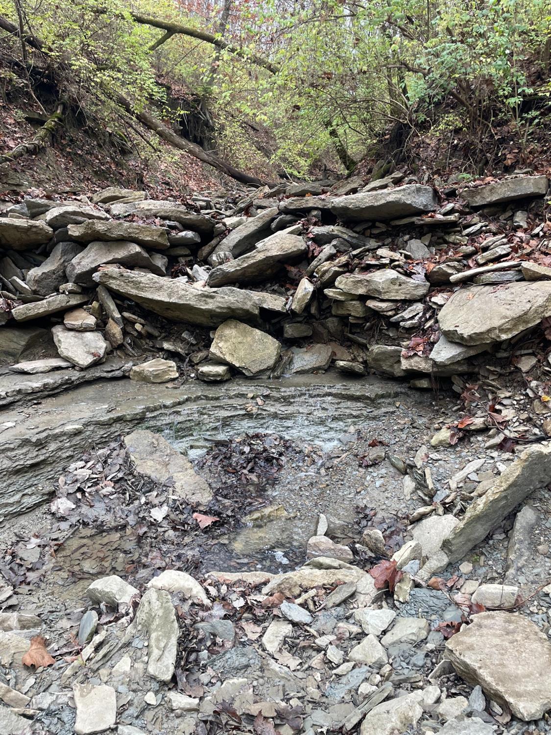 18103 Us Highway Florence, IN 47020 - Photo 7 of 9